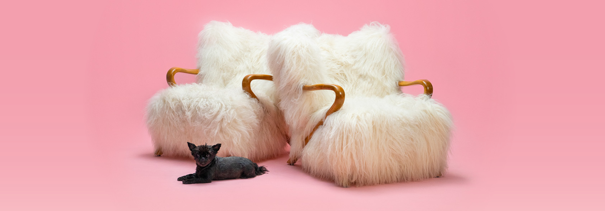 Antikmässan - en rosa bakgrund med två fluffiga fåtöljer i vitt och en svart katt. 